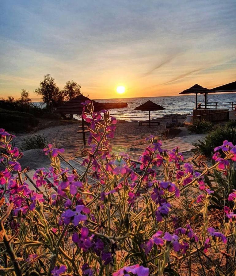 Gallipoli Mancaversa Futura Vacanza Andrea Marina di Mancaversa Ngoại thất bức ảnh